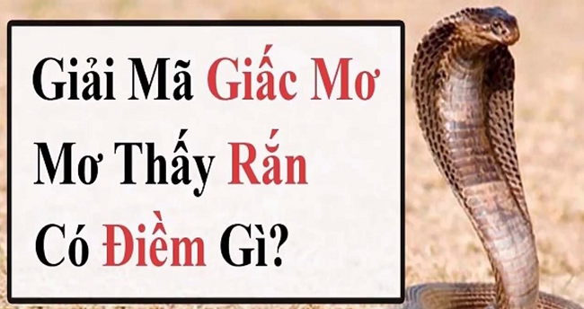 mo thay ran den bao diem gi