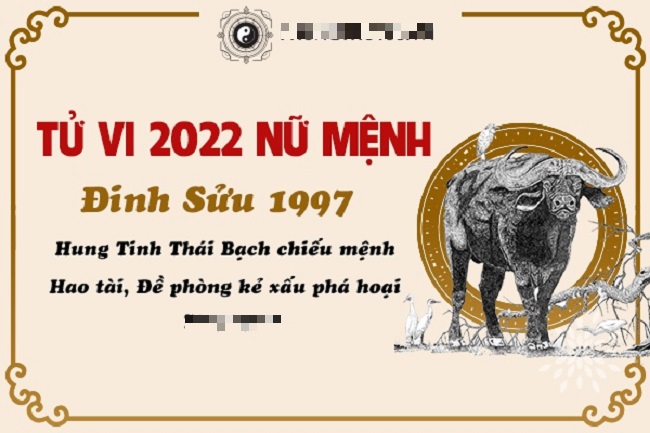 Xem tu vi nam nu 2022 ve tai chinh