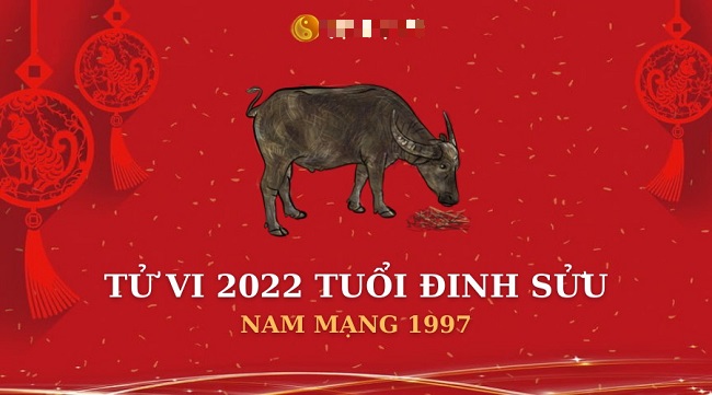 Tong quan ve tu vi 1997 nam 2022