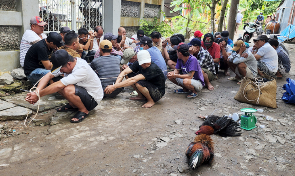 da ga an tien co bị bat khong