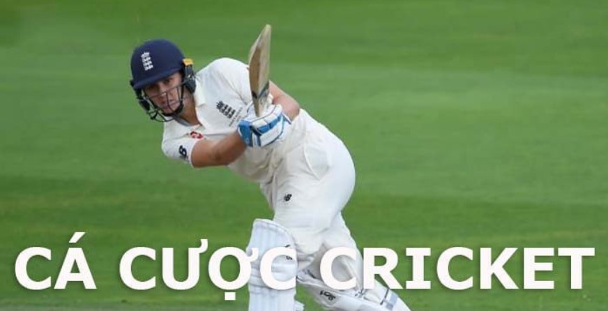 Tim hieu Ca cuoc Cricket  